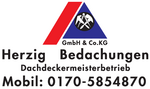 LOGO Herzig.PDF Logo